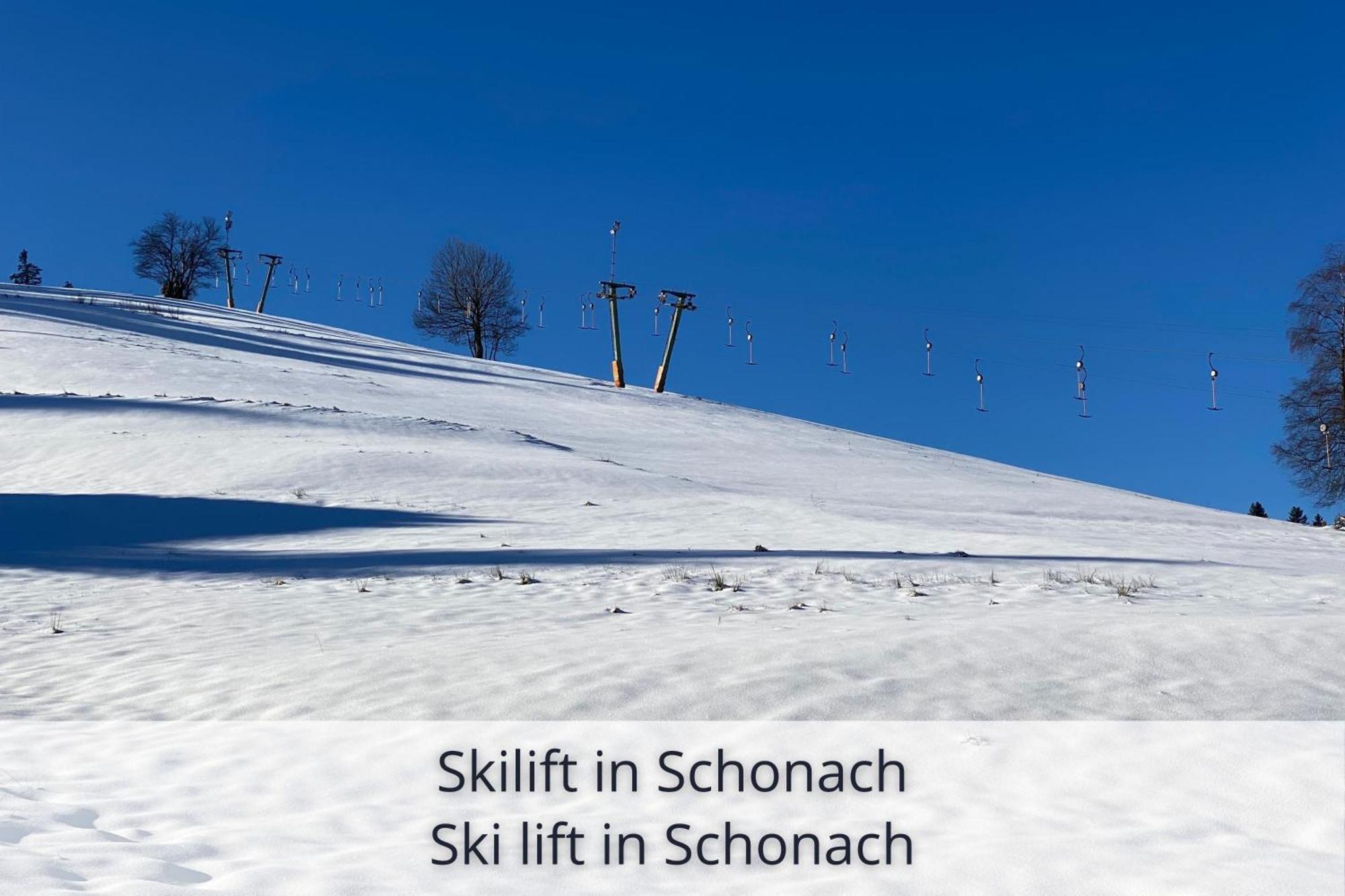 Auszeit Apartment Black Forest: Panoramic Retreat with Indoor Pool and Sauna Schonach im Schwarzwald Exterior photo