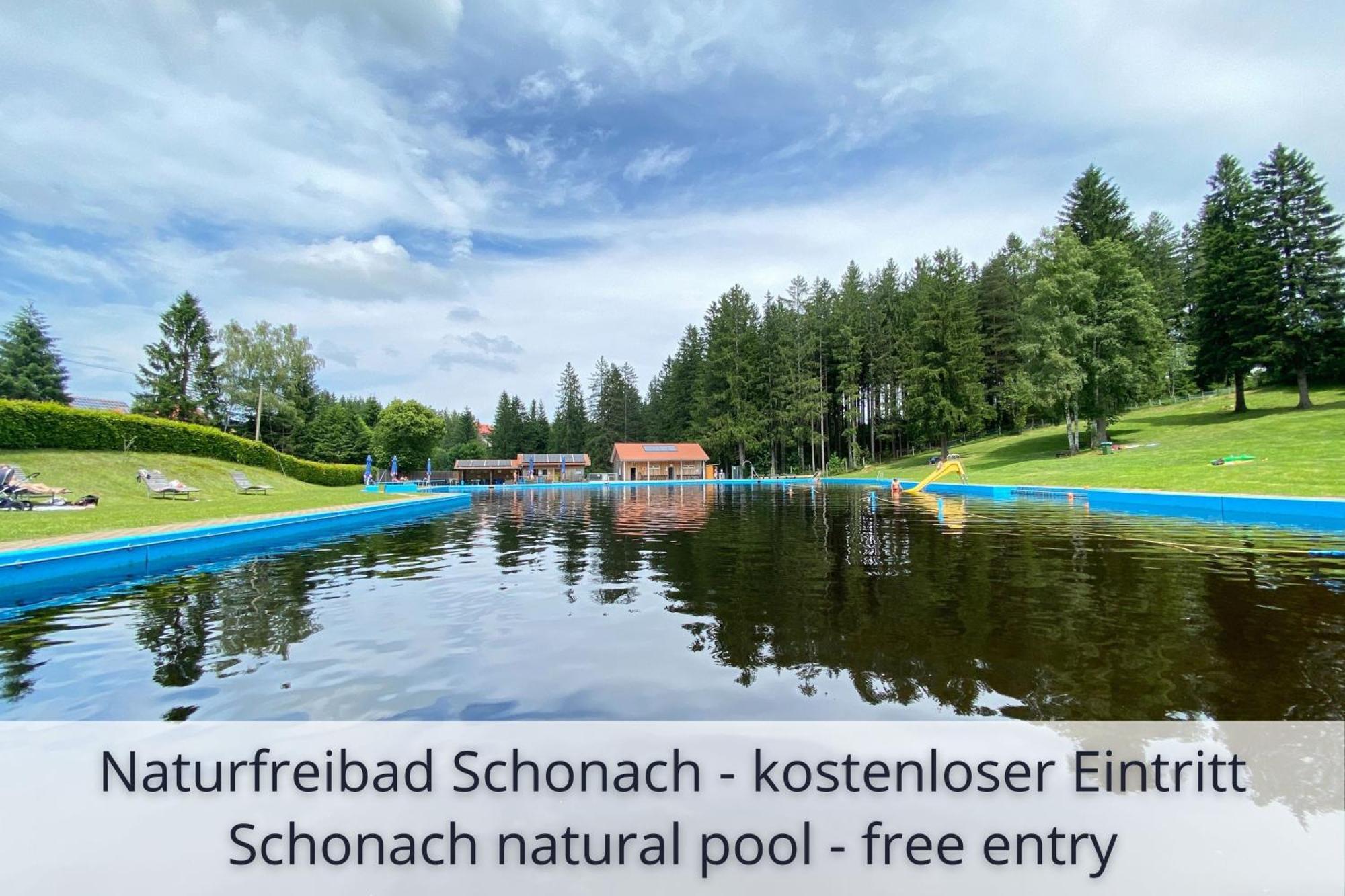 Auszeit Apartment Black Forest: Panoramic Retreat with Indoor Pool and Sauna Schonach im Schwarzwald Exterior photo