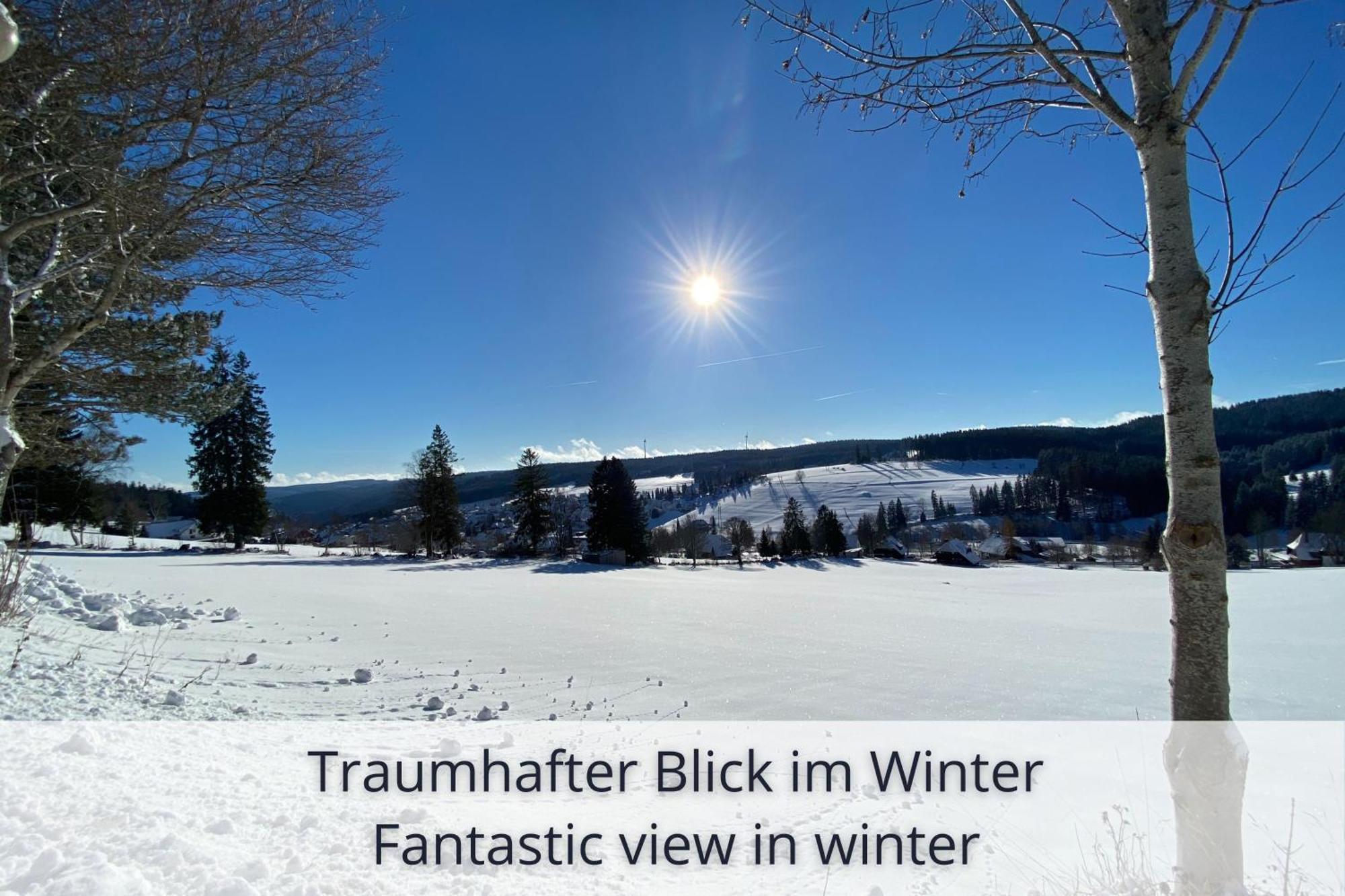 Auszeit Apartment Black Forest: Panoramic Retreat with Indoor Pool and Sauna Schonach im Schwarzwald Exterior photo