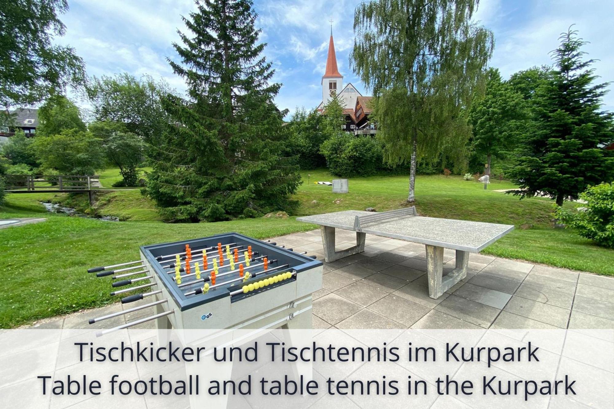 Auszeit Apartment Black Forest: Panoramic Retreat with Indoor Pool and Sauna Schonach im Schwarzwald Exterior photo